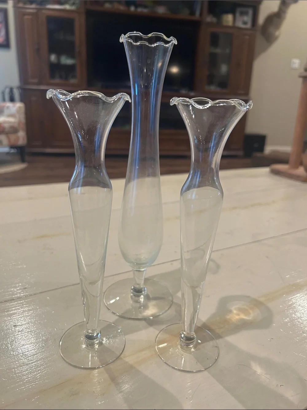 Clear Glass Bud Vases Set by